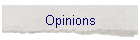 Opinions